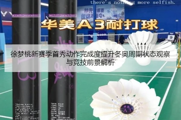 徐梦桃新赛季首秀动作完成度提升冬奥周期状态观察与竞技前景解析 - ACMILANSPORTS